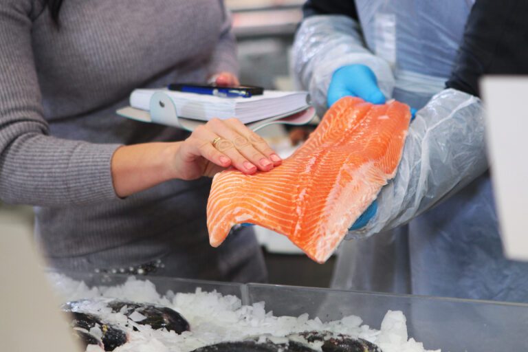 assessing fresh seafood