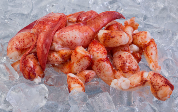 Lobster Knuckles & Claw Meat